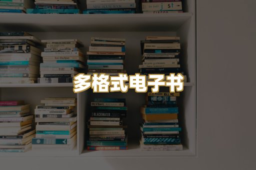 多格式电子书